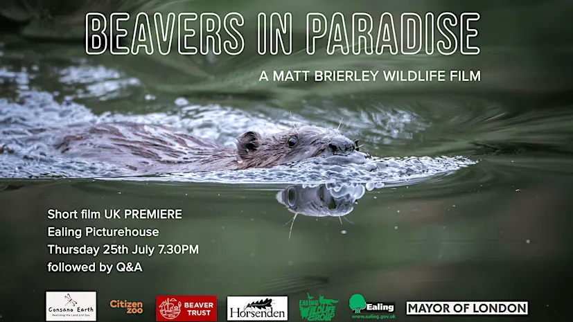 Beavers in Paradise Poster