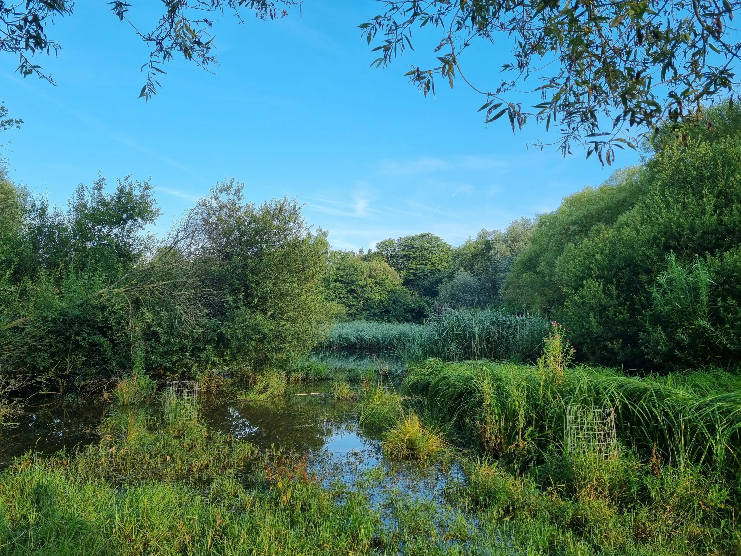 Boost Biodiversity