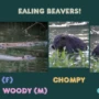 Ealing Beavers Naming Competition!